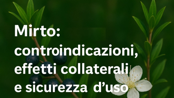 Mirto: controindicazioni, effetti collaterali e sicurezza d’uso