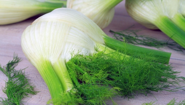 Finocchio fresco su tavola chiara, utile per digestione e benessere naturale