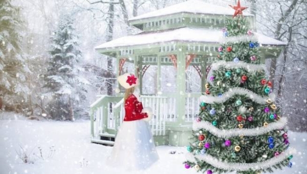 L'albero di Natale