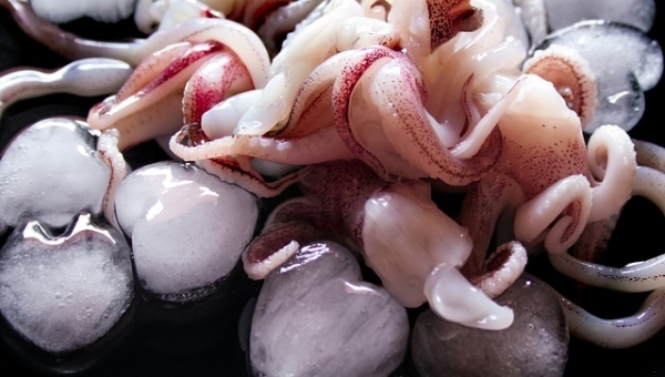 Crostini di Calamari