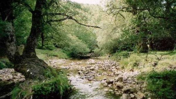 Il parco nazionale d'Abruzzo