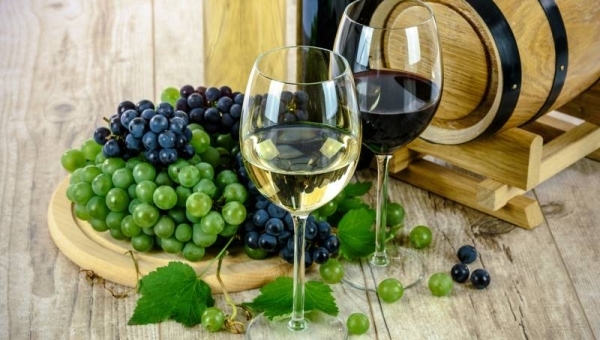 Il vino