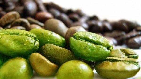 Il caffè verde