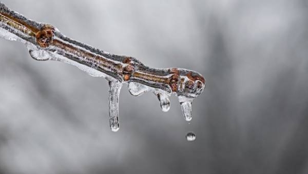 L'inverno come proteggersi