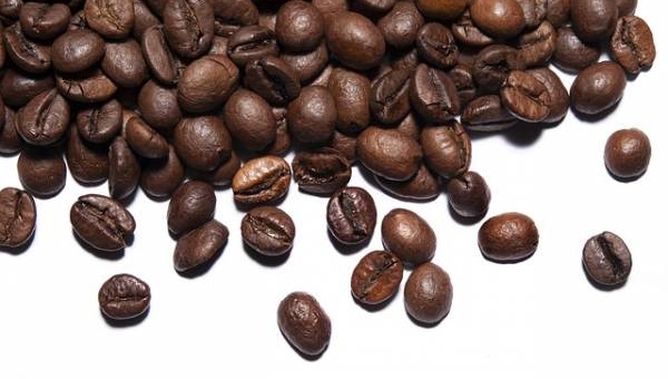 La pianta del caffè