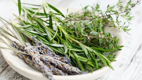 Le erbe aromatiche