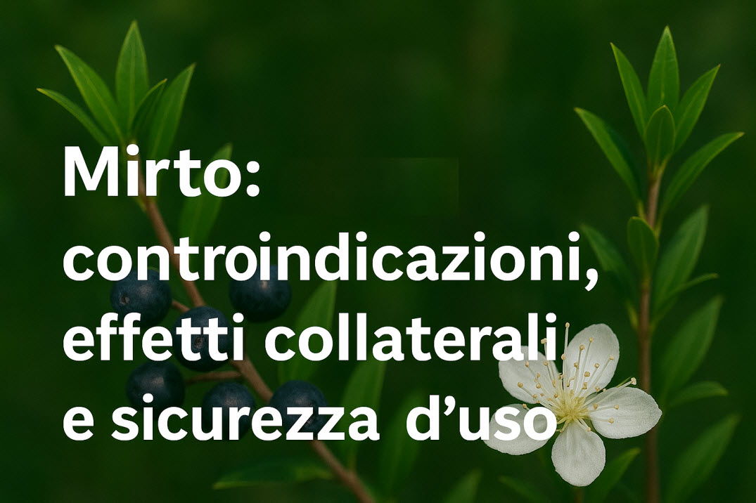 Mirto, controindicazioni ed effetti collaterali