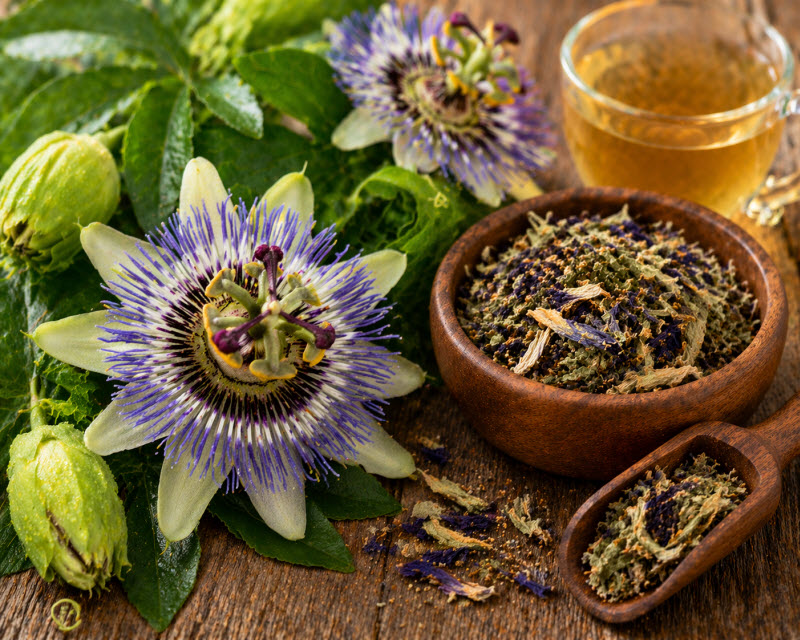 Passiflora, proprieta e benefici per l'ansia