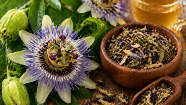 Passiflora, proprieta e benefici per l'ansia