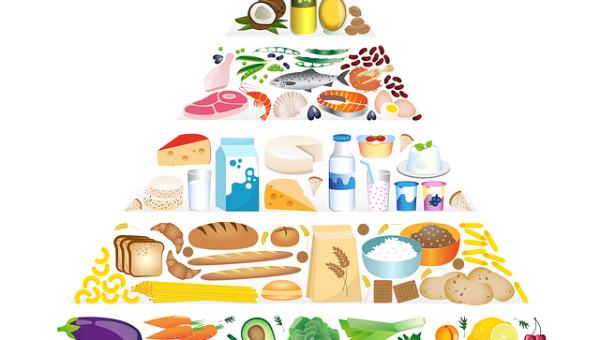 Piramide degli alimenti